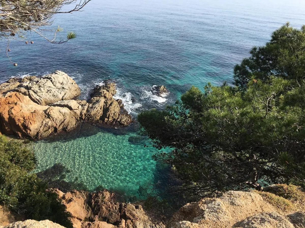 Vivalidays Alicia - Fenals - Lloret De Mar Spain