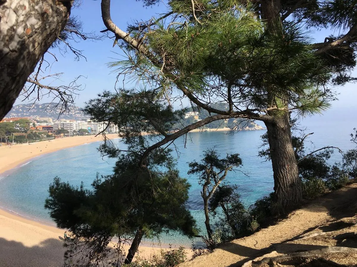 Vivalidays Alicia - Fenals - Lloret De Mar Apartament